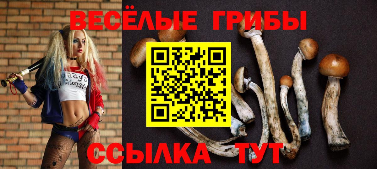 Псилоцибиновые грибы MAGIC MUSHROOMS  Вход с VPN  Нижневартовск 
