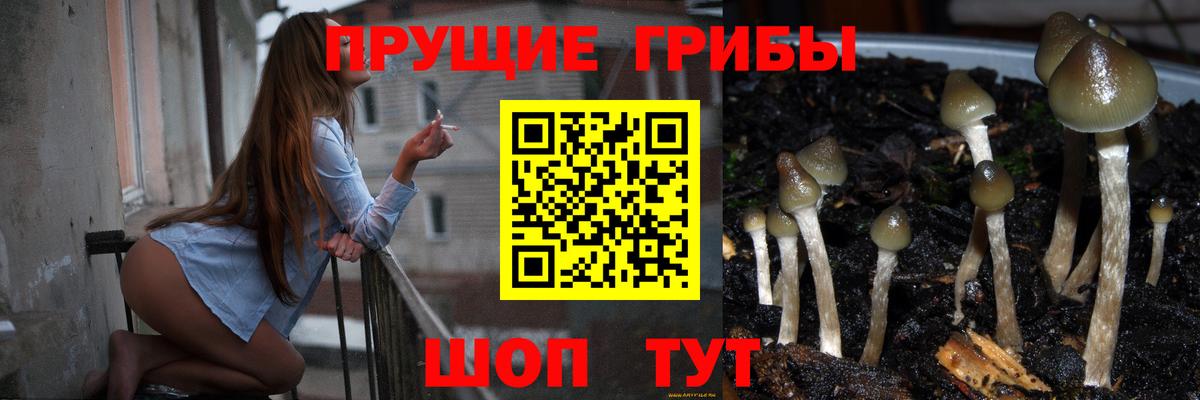 Псилоцибиновые грибы ЛСД Нижневартовск